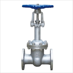 DZ41W�ք�(d��ng)�͜��l�y